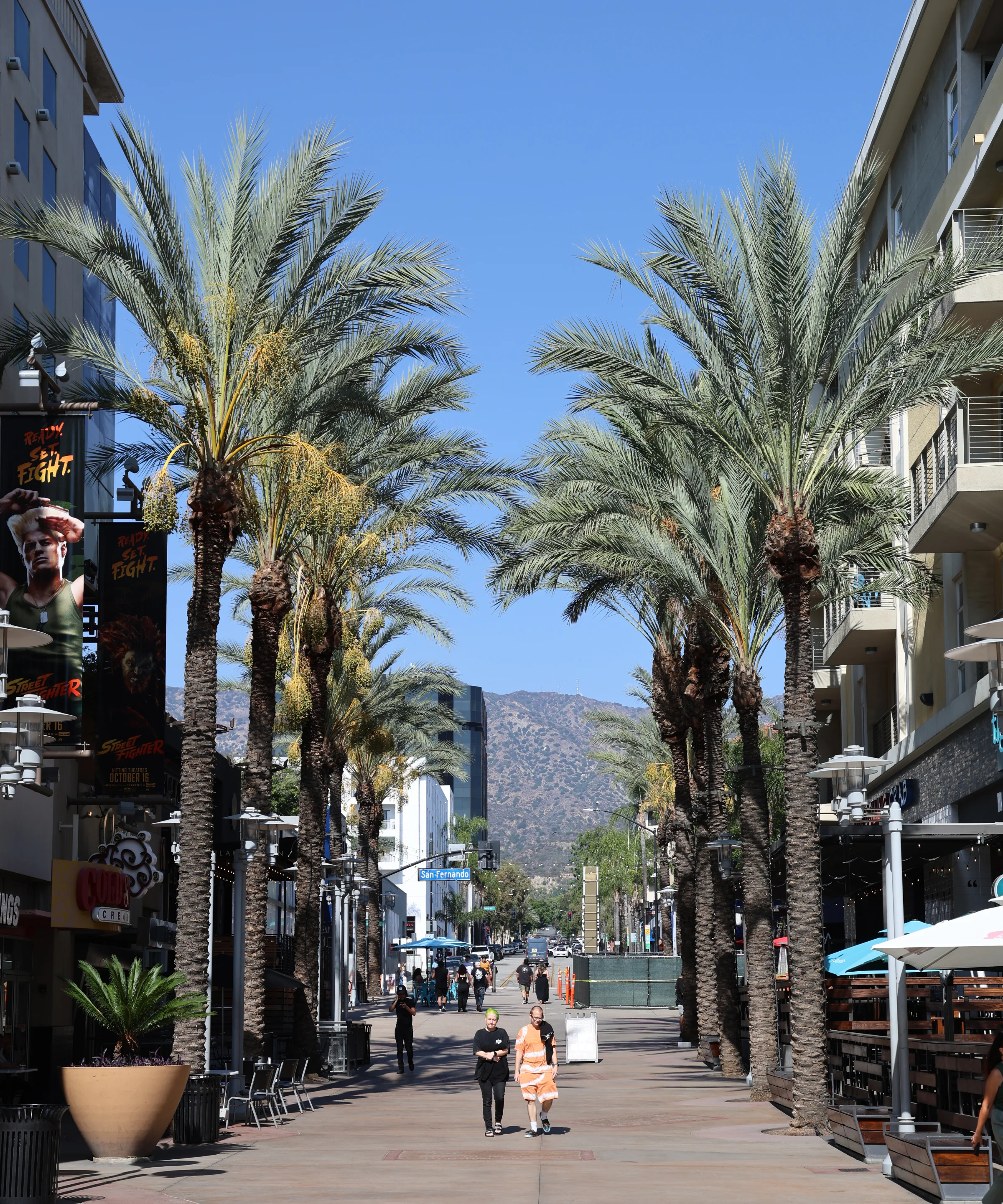 Palm-lined pedestrian walkway in downtown Burbank